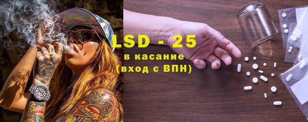шишки Нязепетровск