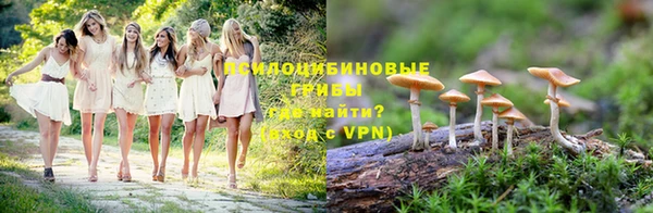 прущие грибы Верея