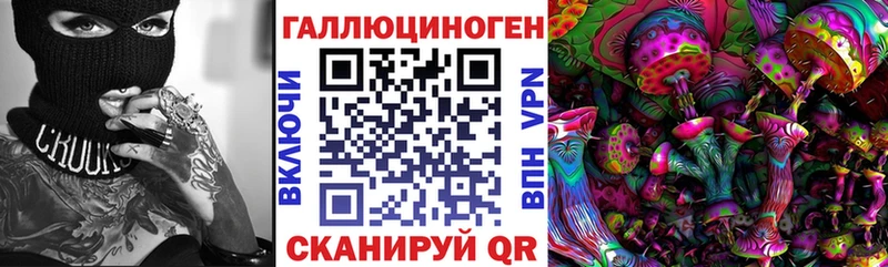 купить наркоту  Всеволожск  Псилоцибиновые грибы прущие грибы 
